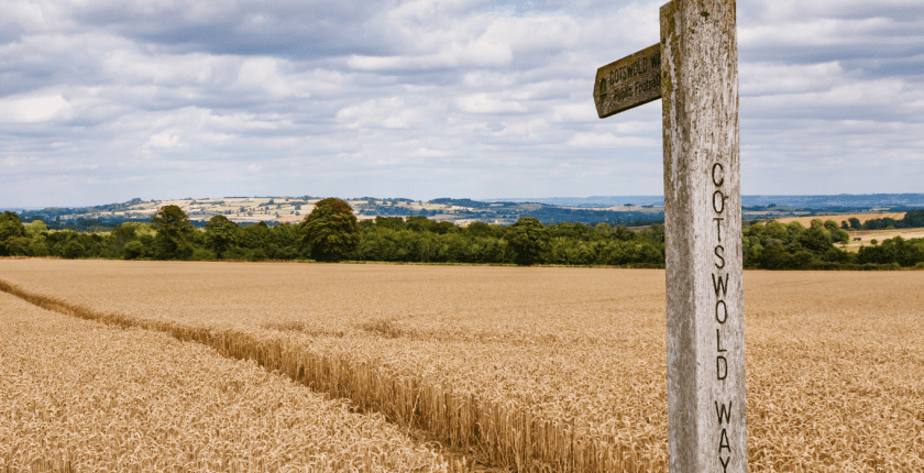 Cotswold Job Market