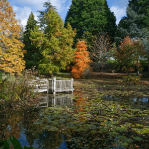 Parkland and wilder grounds