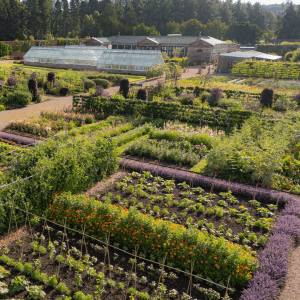 Kitchen garden cotswolds