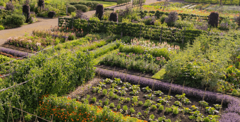 Kitchen garden cotswolds